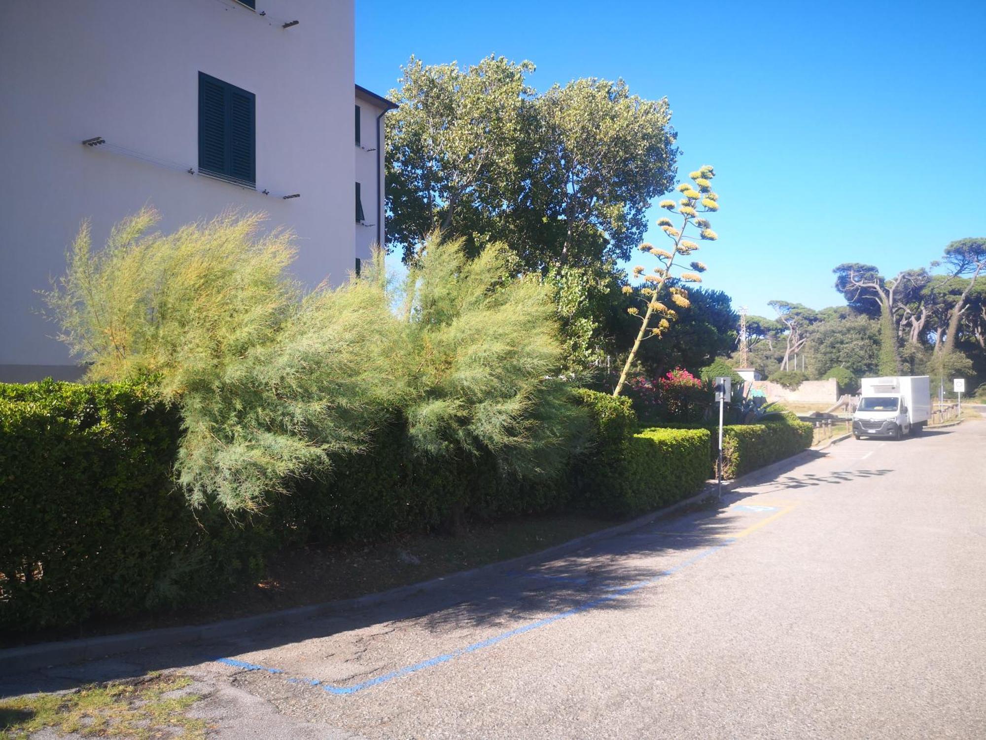 Apartment Bilocale *
